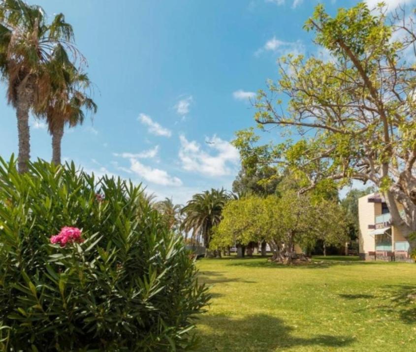 Galeria De Arte. Apartment Arona  Exterior foto